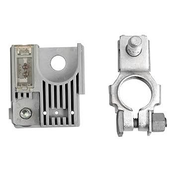 Amazon.com: 120Amp Battery Fuse Fuselink with Positive